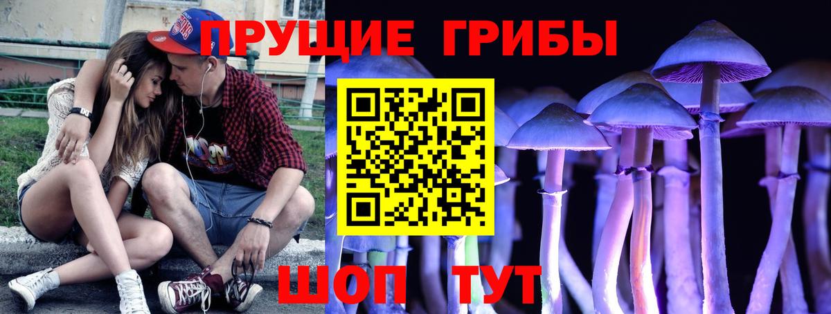 Нарьян-Мар  Галлюциногенные грибы мицелий  Вход с VPN 